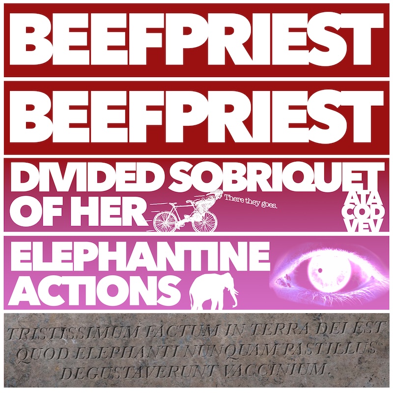 Divided Sobriquet of Her Elephantine Actions album cover
